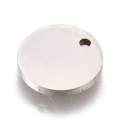 Non-Tarnish 304 Stainless Steel Charms STAS-L247-006D-P-1