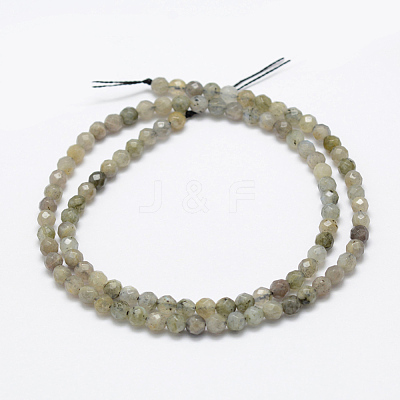 Natural Labradorite Beads Strands G-P322-28-4mm-1