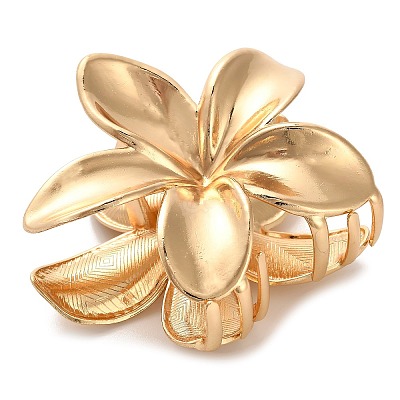Alloy Claw Hair Clips AJEW-A061-06C-G-1