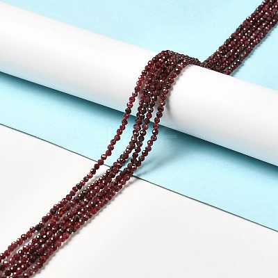 Natural Garnet Beads Strands X-G-I341-09B-1