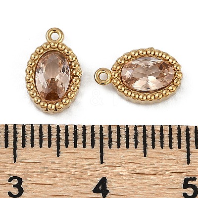 Ion Plating(IP) 304 Stainless Steel Micro Pave Cubic Zirconia Charms STAS-K256-19G-02-1