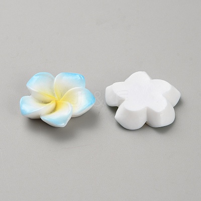 Two Tone Resin Cabochons LS-RESI-WH20010-01E-1