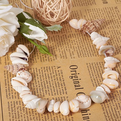 Trumpet Shell Beads BSHE-YW0001-03-1