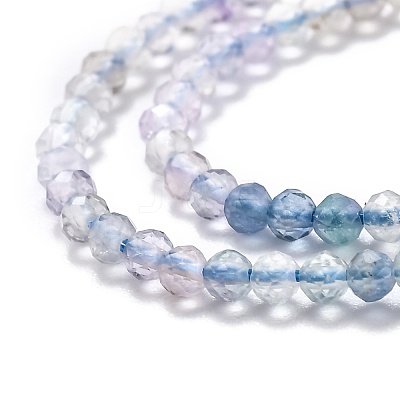 Natural Fluorite Beads Strands G-H266-31A-1