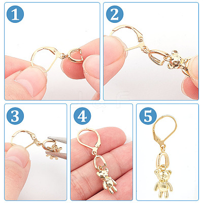 10 Pair 2 Color Brass Leverback Earring Findings EJEW-AB00046-1
