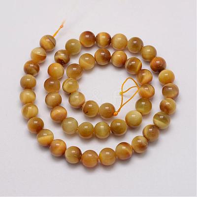 Natural Tiger Eye Bead Strands G-P230-08-E-8mm-1