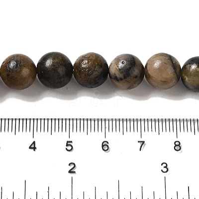 Natural Chiastolite Beads Strands G-Q161-A03-04-1