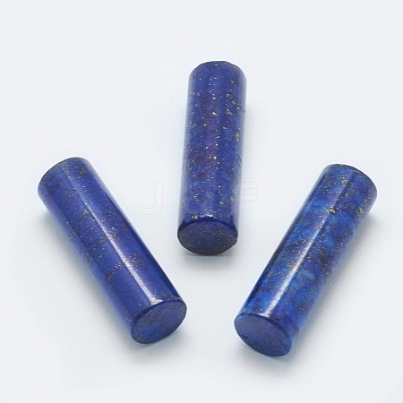 Natural Lapis Lazuli Beads G-G760-L17-1
