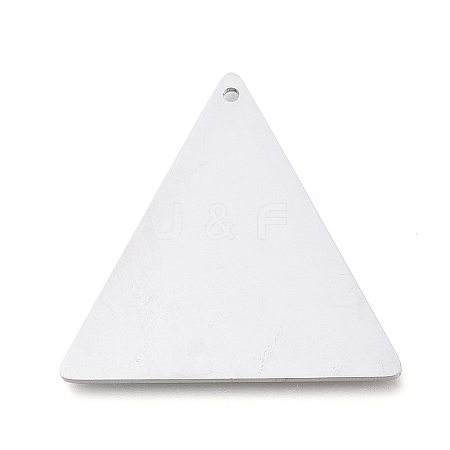 Tarnish Resistant 304 Stainless Steel Pendants LS-STAS-L238-113A-P-1