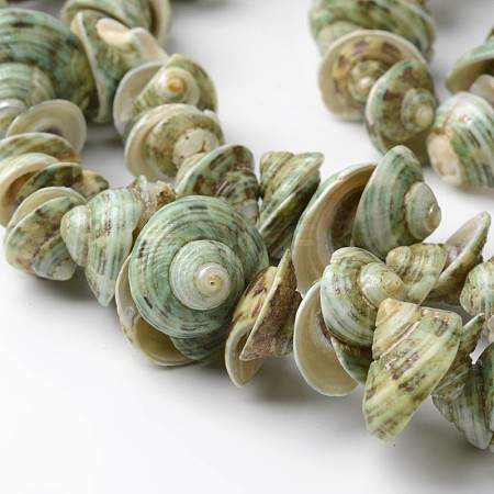 Natural Shell Bead Strands X-BSHE-O016-20-1