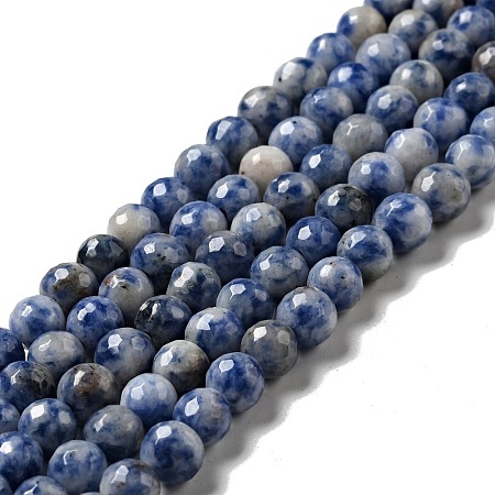 Natural Blue Spot Jasper Beads Strands G-P476-01B-02-1