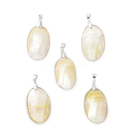 Natural Sea Shell Pendants SHEL-F005-04P-1