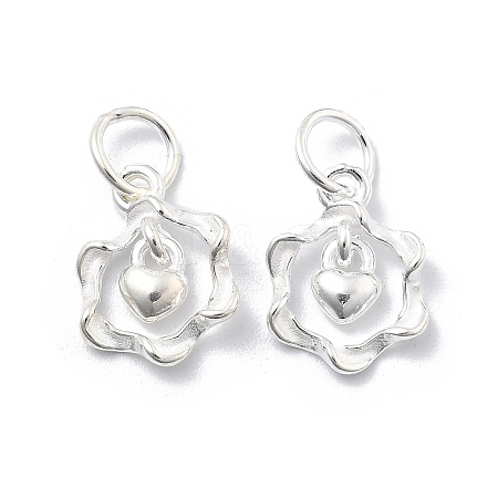 925 Sterling Silver Charms STER-D302-05A-S-1