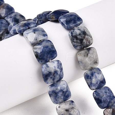 Natural Blue Spot Jasper Beads Strands G-T138-172-1