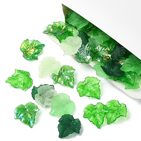 100G 5 Styles Transparent Acrylic Pendants TACR-YW0002-19-1