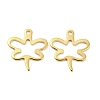 201 Stainless Steel Pendants STAS-Z049-04G-1
