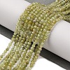 Natural Green Garnet Beads Strands G-A235-A02-01-2