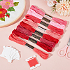 24 Skeins 3Bags 6-Ply Polyester Embroidery Floss OCOR-CY0003-43B-4