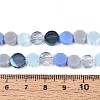 Electroplate Glass Beads Strands X-EGLA-N022-03A-A04-4