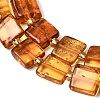 Natural Amber Beads Strands G-C260-A01-06-4