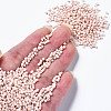 Glass Seed Beads SEED-S060-A-F407-4