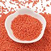 Baking Paint Glass Seed Beads X-SEED-S042-05B-84-2