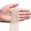 Natural Cultured Freshwater Pearl Beads Strands PEAR-N024-05-4AB-5