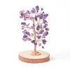 Natural Amethyst Chips with Brass Wrapped Wire Money Tree on Wood Base Display Decorations DJEW-B007-05B-1