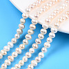 Grade AB Natural Cultured Freshwater Pearl Beads Strands PEAR-N013-05G-1