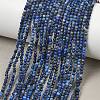 Natural Lapis Lazuli Beads Strands GG-CBA1497-A02-2mm-1