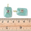 Natural Amazonite Pendants G-I391-03G-06-3