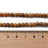 Natural Maifanite/Maifan Stone Beads Strands G-P451-01C-B-5