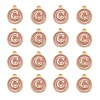 Golden Plated Alloy Enamel Charms X-ENAM-S118-07C-2