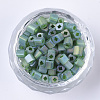 6/0 Transparent Glass Seed Beads SEED-S027-03B-07-2