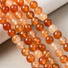 Natural Red Agate Beads Strands G-B167-A12-8mm-1
