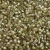 MIYUKI Delica Beads X-SEED-J020-DB1766-3