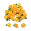 Dyed Natural Agate Orange Charms G-U025-07G-1