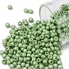 TOHO Round Seed Beads SEED-JPTR08-0560F-1