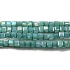 Baking Painted Glass Beads Strands DGLA-F002-05A-1