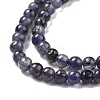 Natural Iolite Beads Strands G-C242-02A-4