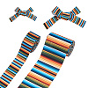 2 Rolls 2 Styles Stripe Pattern Printed Polyester Grosgrain Ribbon OCOR-TA0001-37C-2