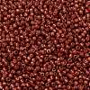 TOHO Round Seed Beads SEED-TR11-PF2113-2