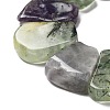 Natural Prehnite & Amethyst Beads Strands G-P528-K08-01-3