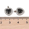 304 Stainless Steel Cubic Zirconia Pendants STAS-A076-02P-04-3