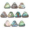 BENECREAT 10Pcs Natural Abalone Shell/Paua Shell Beads SSHEL-BC0001-29-1