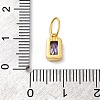 925 Sterling Silver Cubic Zirconia Charms STER-NH0014-01G-02-3