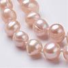 Natural Pearl Beaded Necklaces NJEW-P149-04D-3