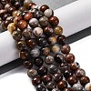 Natural Mexico Crazy Agate Beads Strands G-L615-A01-02-1