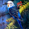 DIY Birds Theme Diamond Painting Kits DIAM-PW0004-054E-1
