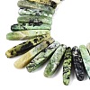 Natural Serpentine Beads Strands G-Q616-06D-3